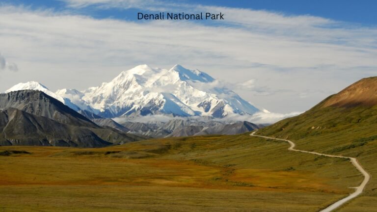 Denali National Park