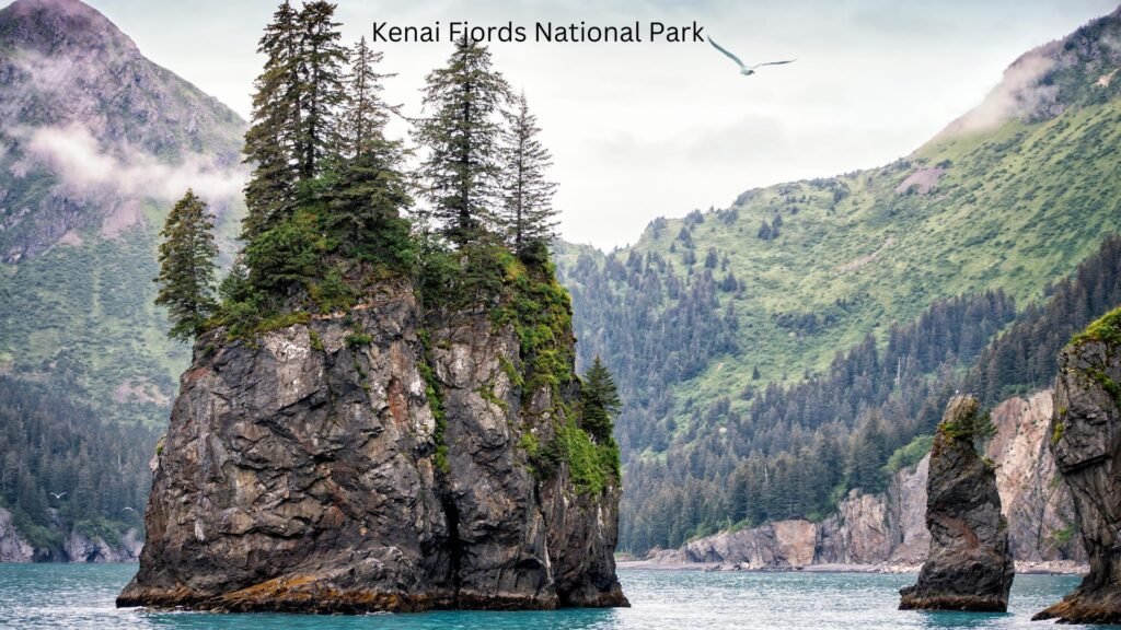 Kenai Fjords National Park