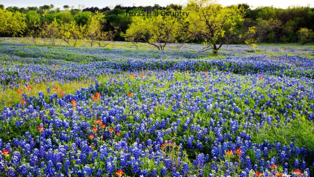 Texas Hill Country