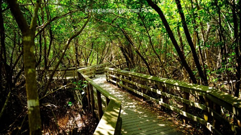 Everglades National Park