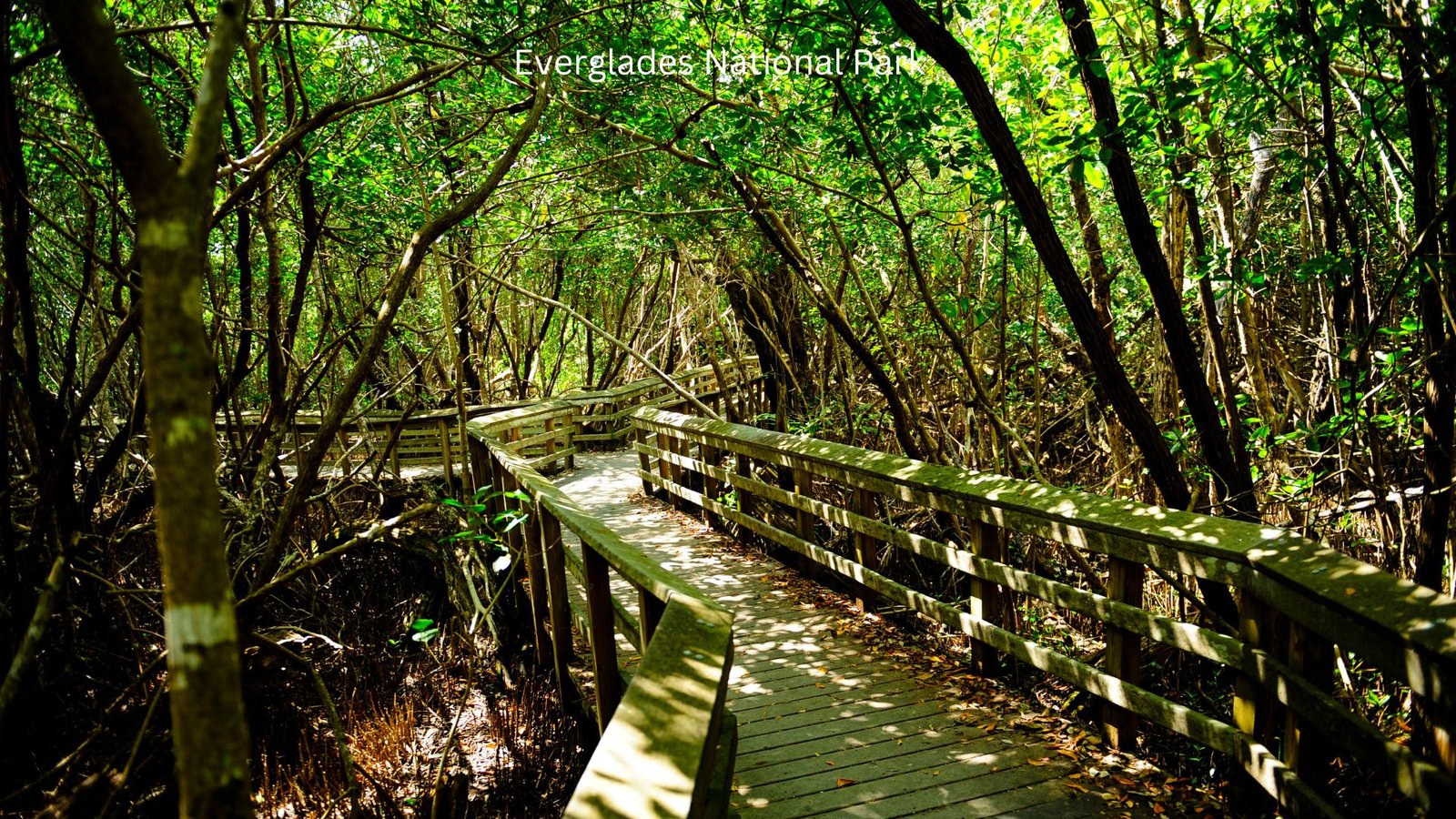 Everglades National Park