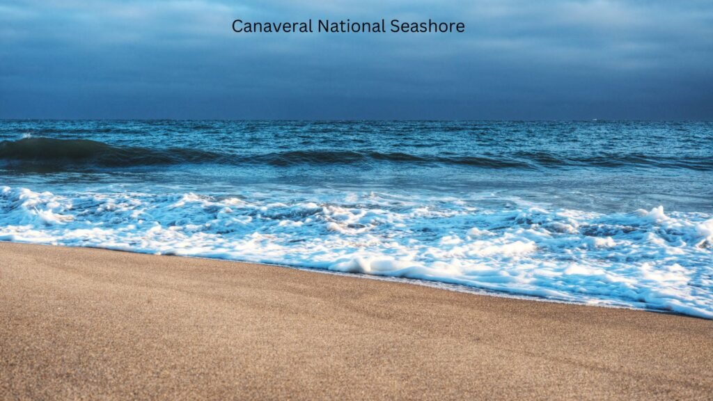 Canaveral National Seashore