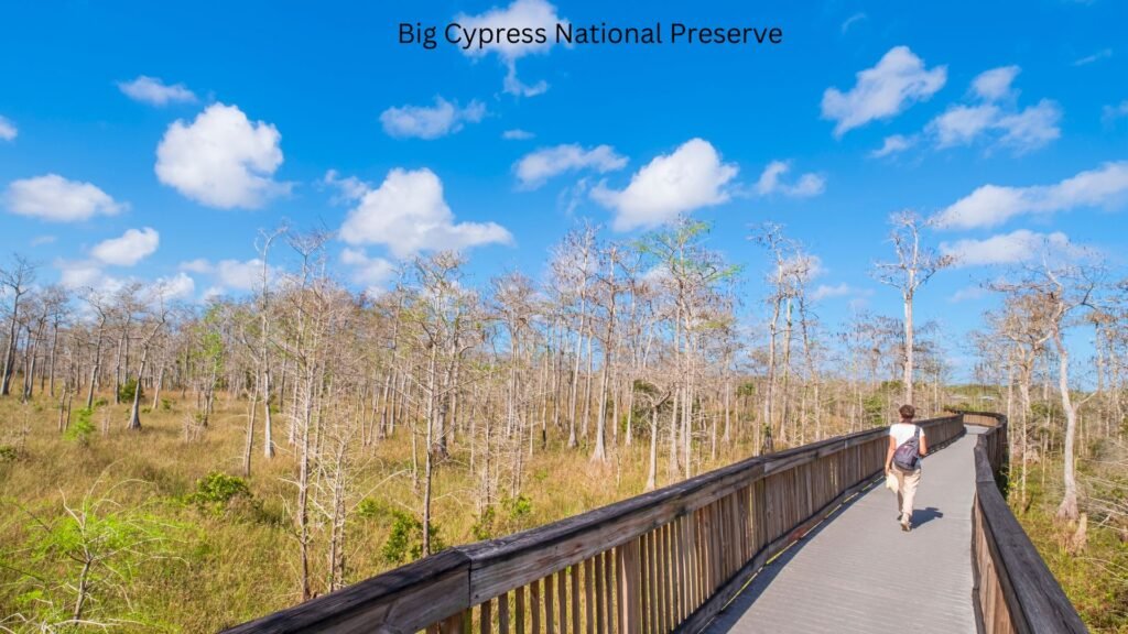 Big Cypress National Preserve